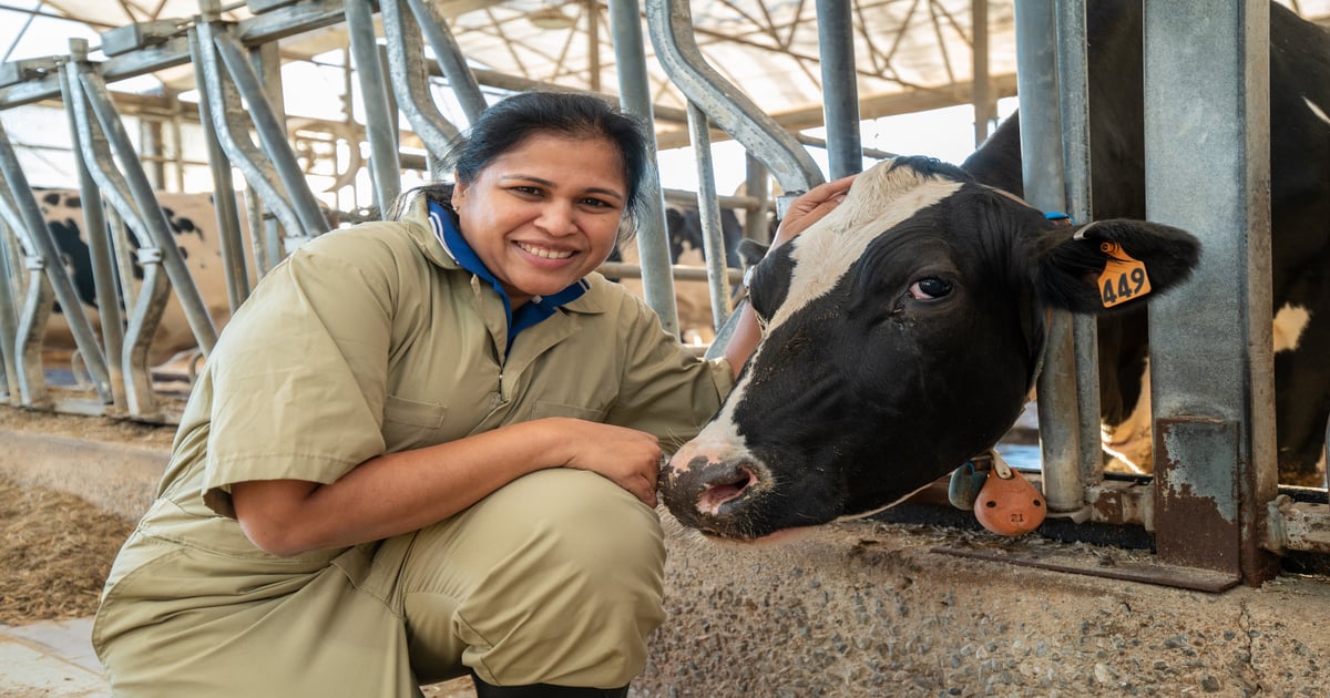 Researchers identify attributes of low-methane-emitting dairy cows