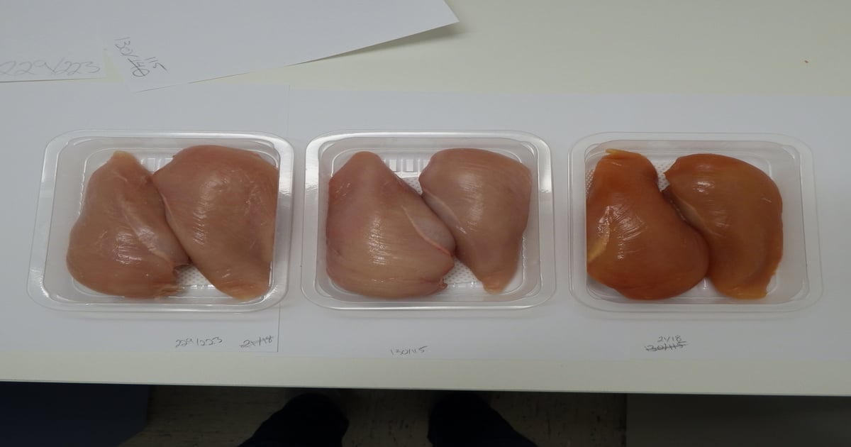 Insect meal, microalgae provide protein option in poultry diets