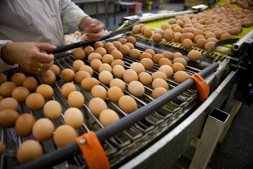 Mexico reverses proposed ban on egg washing