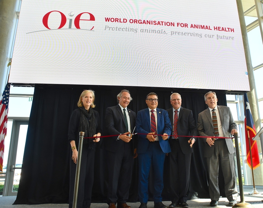 OIE opens U.S.-based liaison office