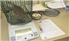 Feeding trials explore mycotoxin effects on quail