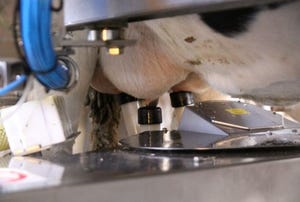 WUR milking robot.jpg