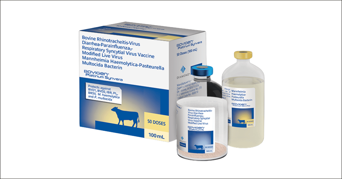 Virbac’s new BRD vaccine offers 8 layers of protection for calves
