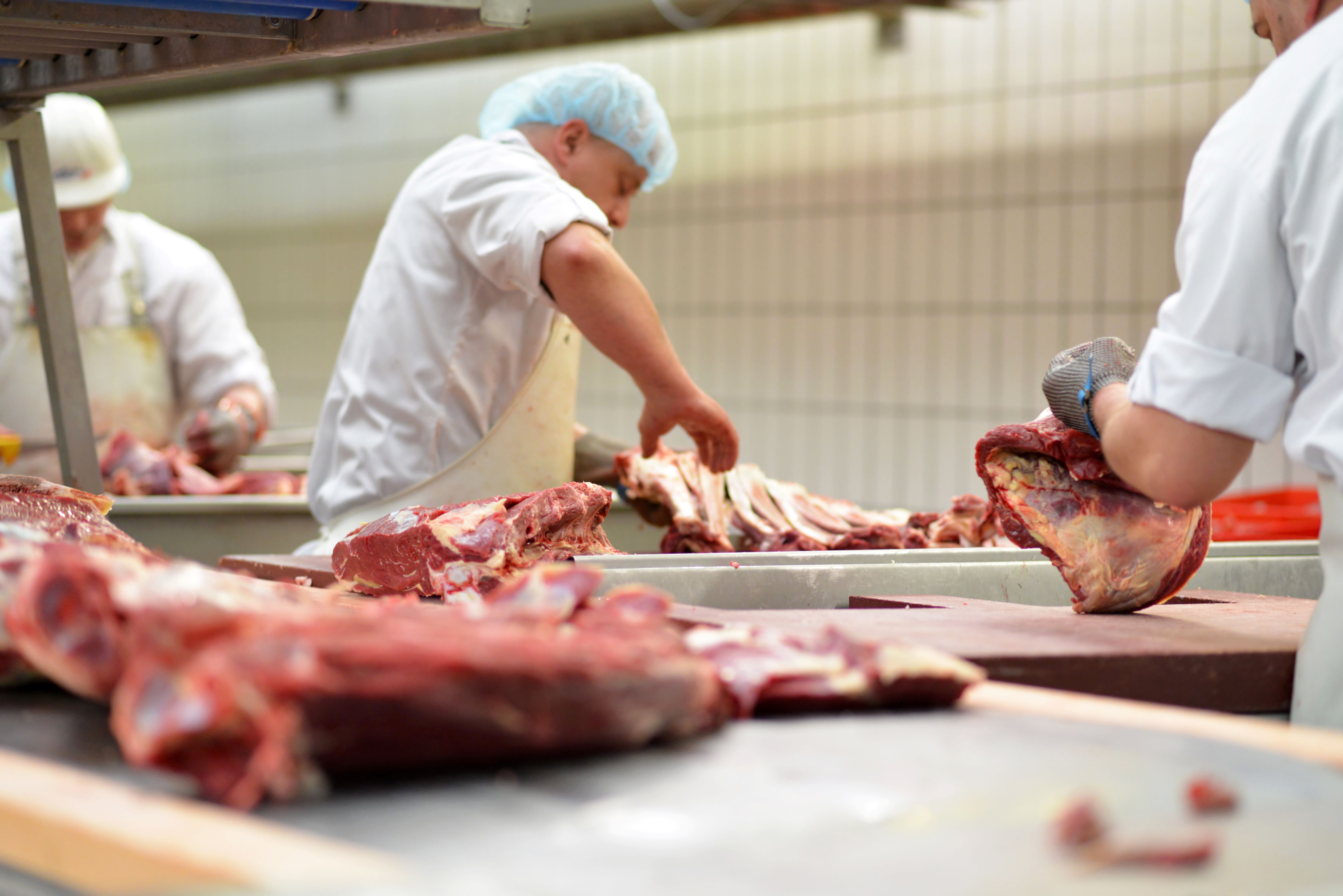 Meat Institute names 2024 Emerging Leaders - Vimarsana News