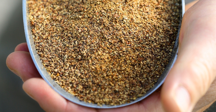 Canola meal: the protein source for today’s swine