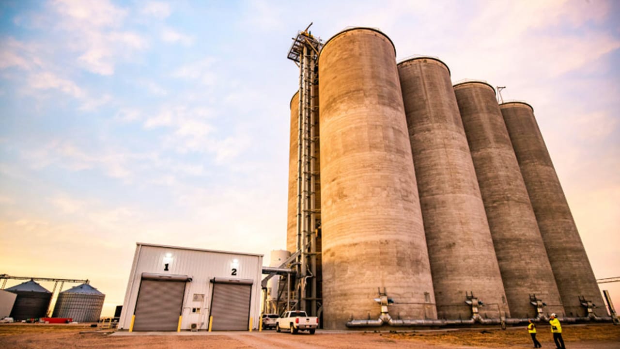 Grain Market News recent news | page 2 of 52 | Feedstuffs