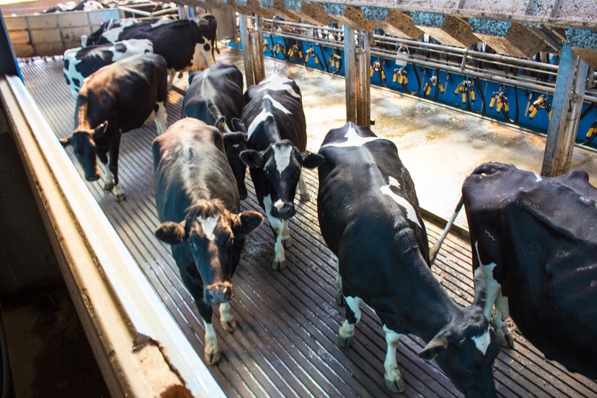 July milk production moves higher