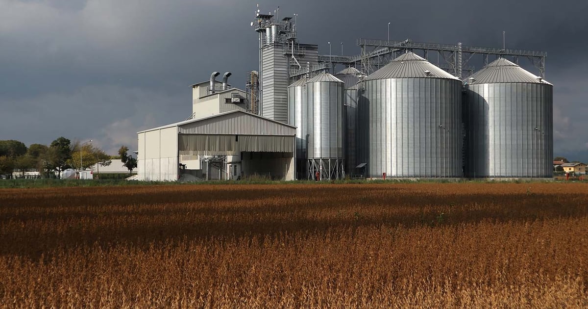 Grain merchandisers face greater costs, risks and volatility