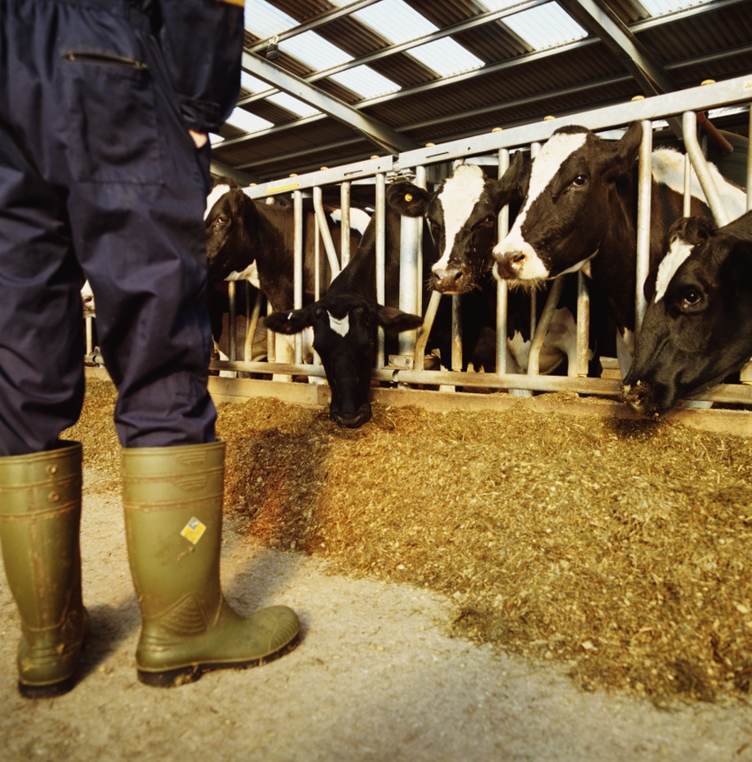 Inaugural California Dairy Sustainability Summit announced