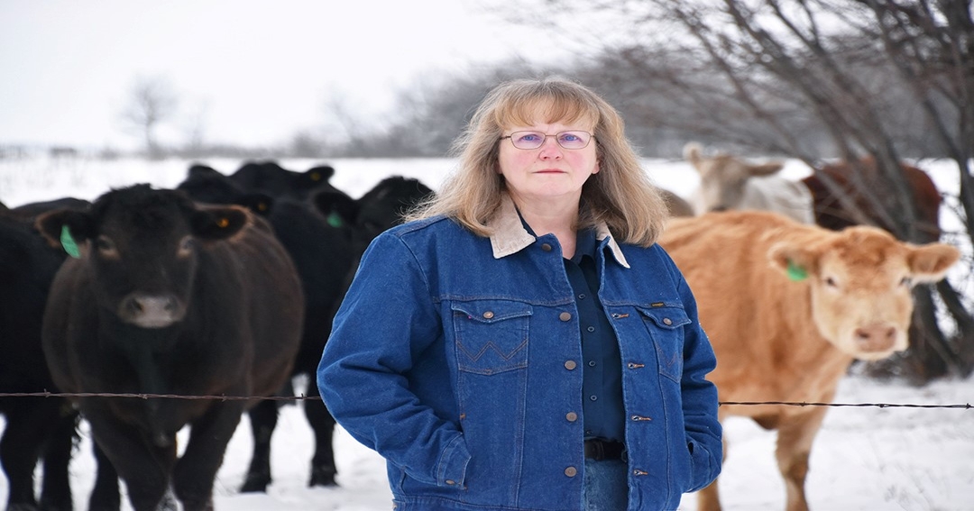 USask research chair targets improved cattle health