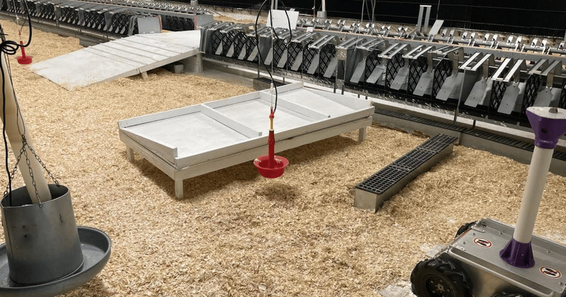 Turkeys Test Software Hybrid Turkeys testing autonomous robots in turkey barns