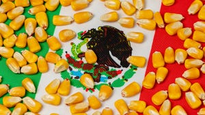 Corn kernels on Mexico flag