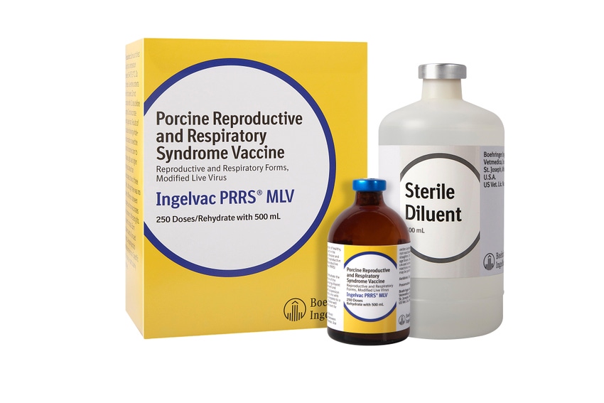 BIVI now offering larger PRRS vaccine bottle BIVI now offering larger PRRS vaccine bottle
