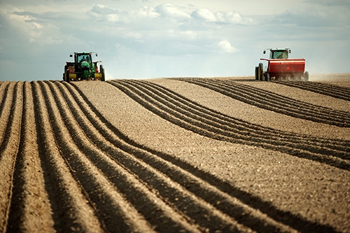 Agricultural producers' economic sentiment soars post-election Agricultural producers' economic sentiment soars post-election