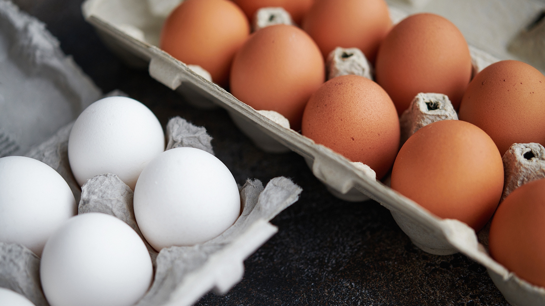 Ensuring we have safe eggs to eat - Vimarsana News