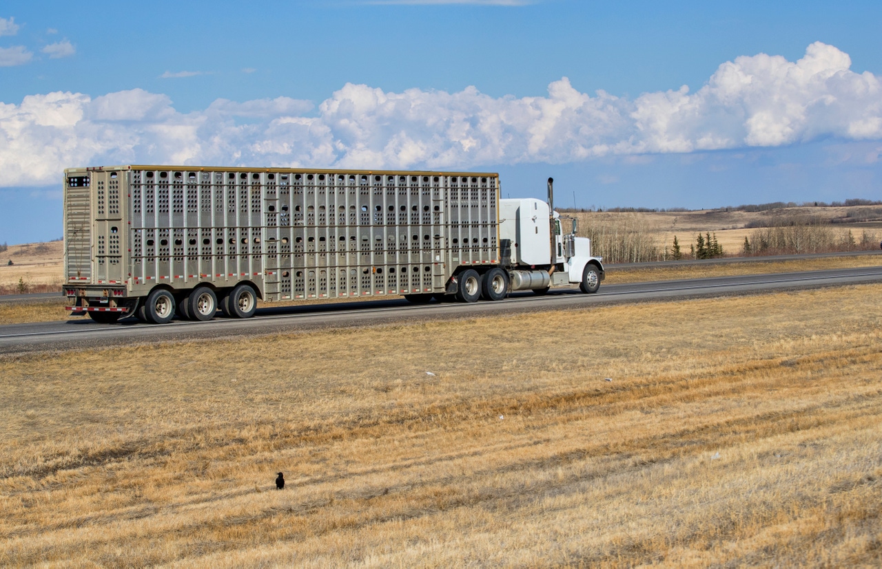 Ag groups seek additional exemptions for ag truckers