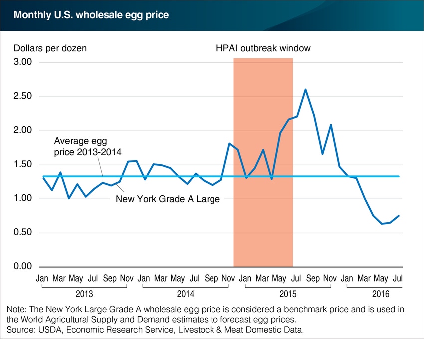 U.S. egg prices continue to adjust