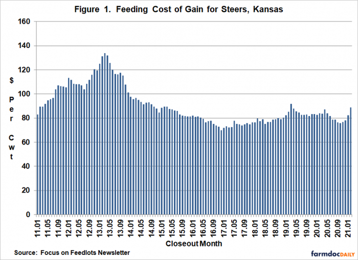 5-11-21 cost of grain for steers.png