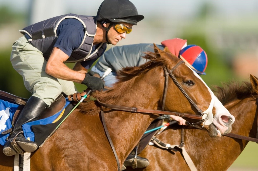 Airway disease in racehorses more prevalent than thought