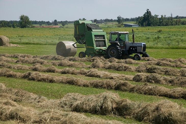 Climatic conditions make assessing forage conditions difficult