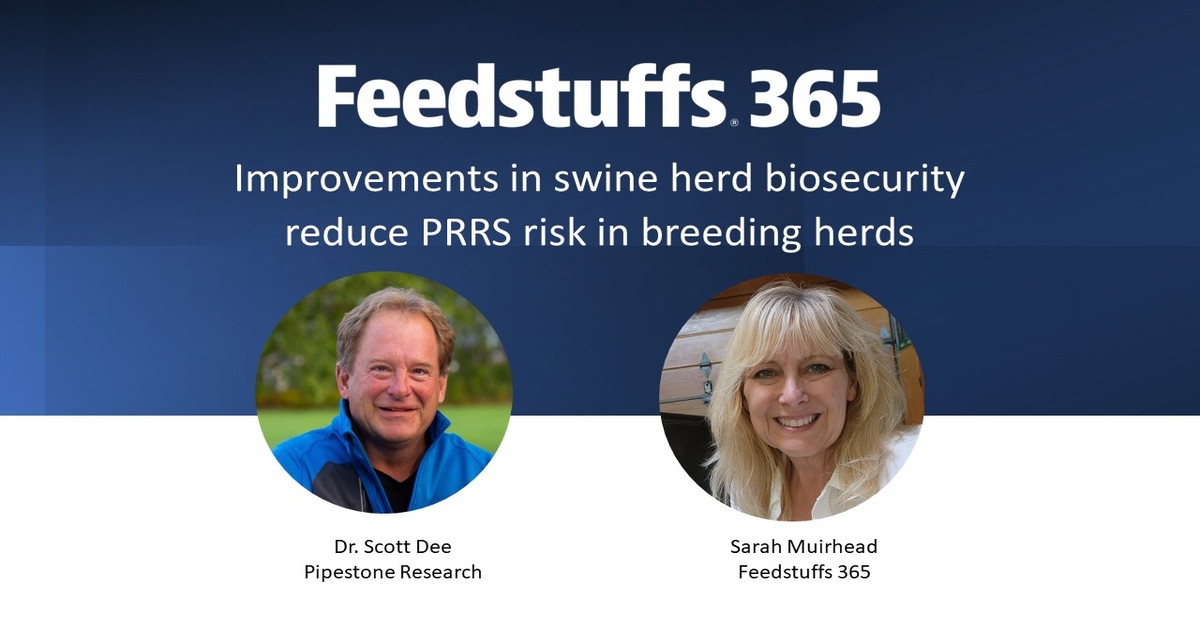Is Your Herd Safe The Comprehensive Guide To Mature Male Swine Insights And Informationon Safety - u80hcwm