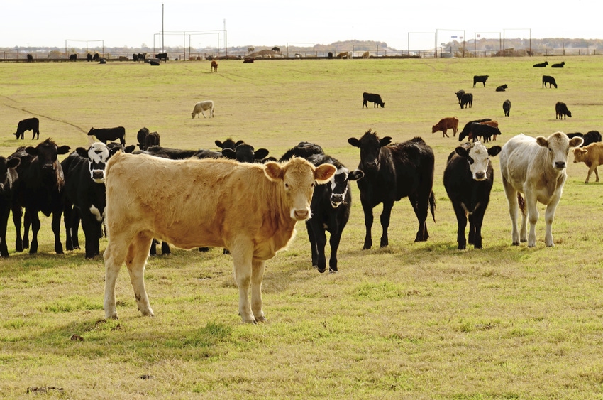 USDA authorizes emergency grazing for drought-stricken states