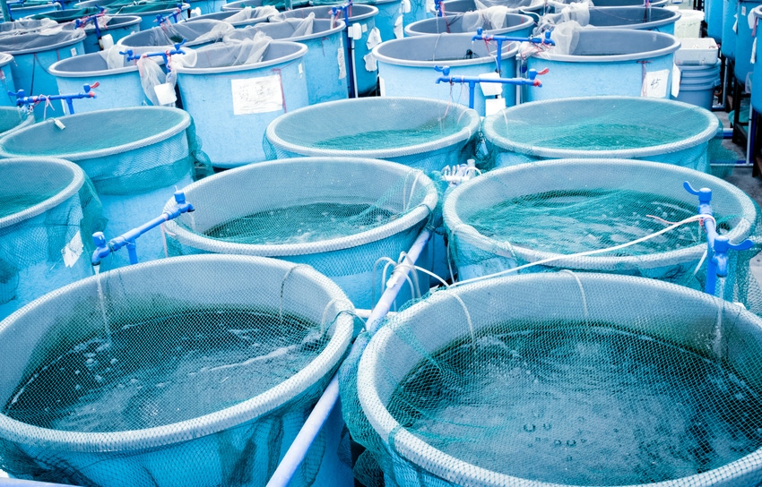 USDA to conduct special census studies on aquaculture, irrigation