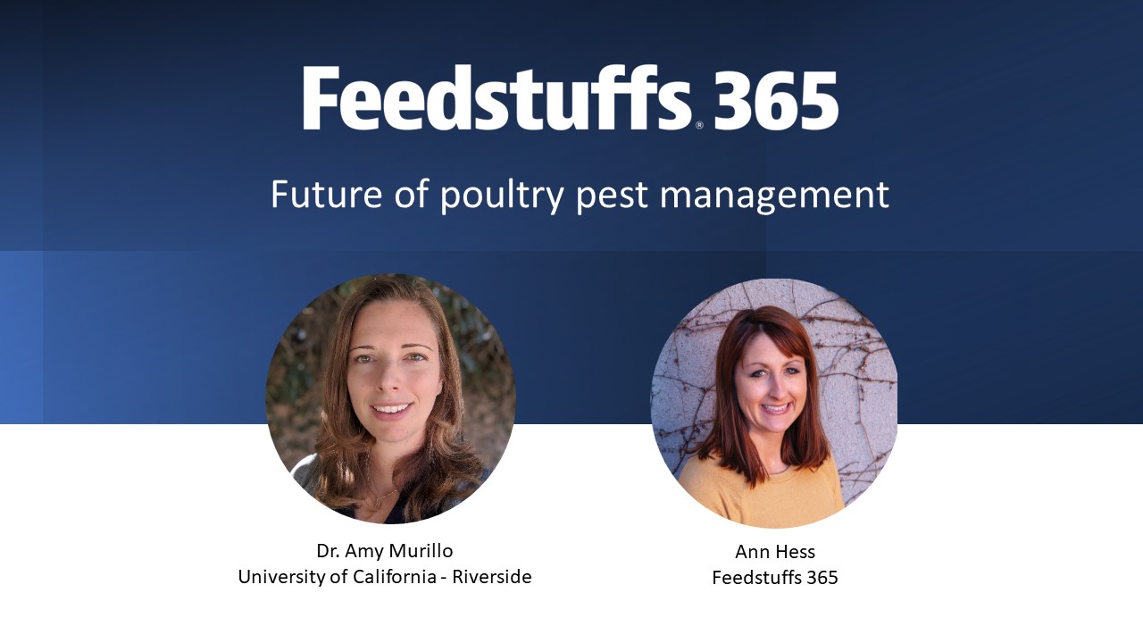 Future of poultry pest management - Vimarsana News
