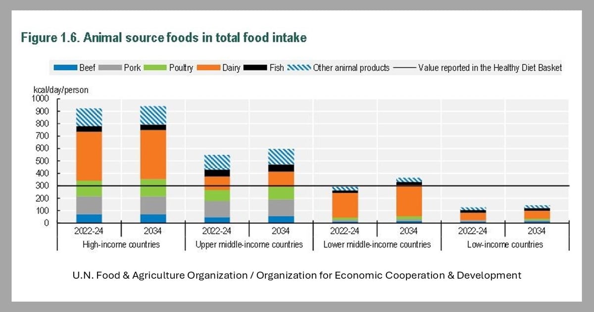 Emerging economies to drive animal food consumption growth