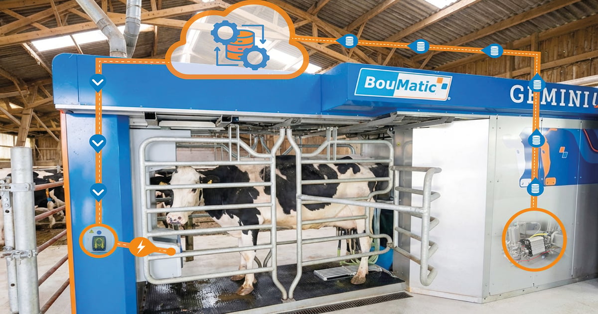 BouMatic adds automated cow health features to milking robot
