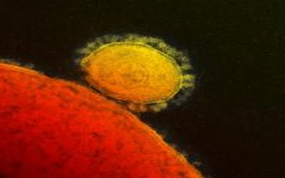 Coronavirus: Is it such a big deal?