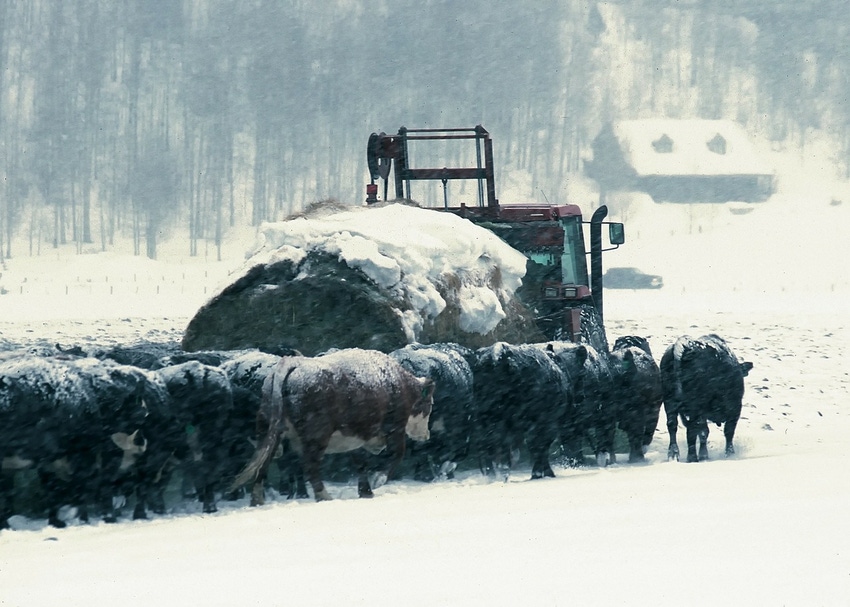 High Plains farmers, ranchers reel from ‘unusual’ blizzard