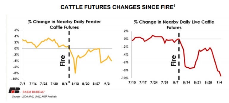 Change in cattle prices since Holcomb fire.jpg