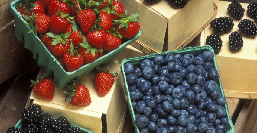 Strawberries blueberries USDA.jpg