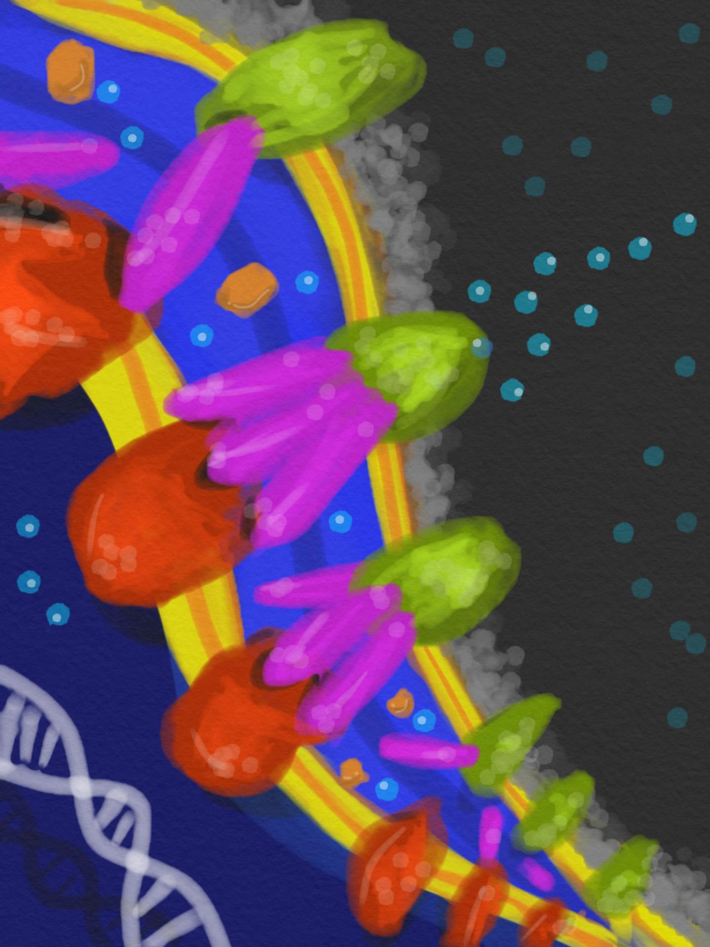 E. coli bacteria defense secret revealed