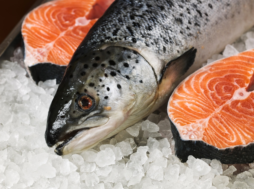 Genome explains differences in wild, farmed salmon