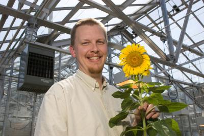 Sunflower genome sequence provides road map for resilient crops