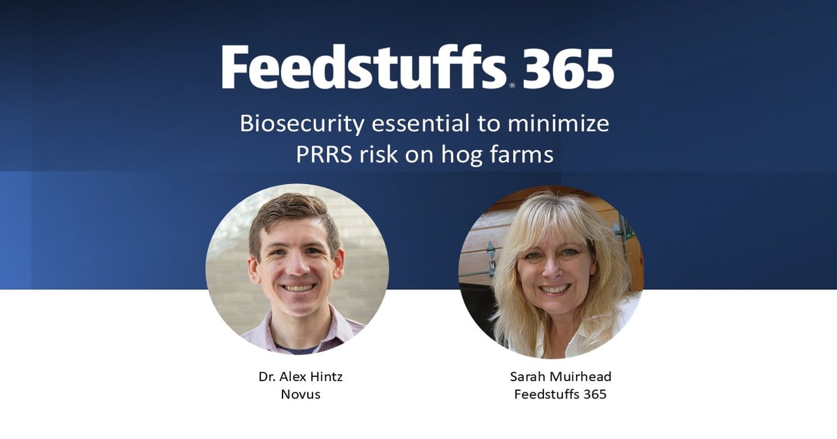 Biosecurity essential to minimize PRRS risk