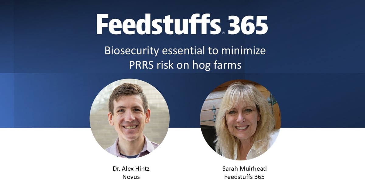 Biosecurity essential to minimize PRRS risk