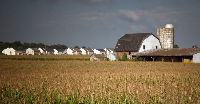 Farmland values unchanged from 2019