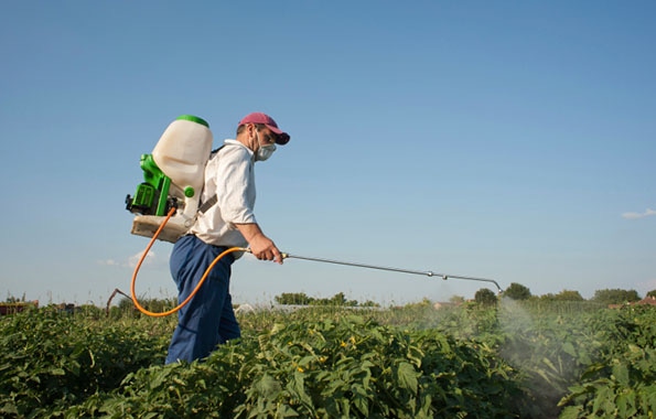California bans pesticide chlorpyrifos