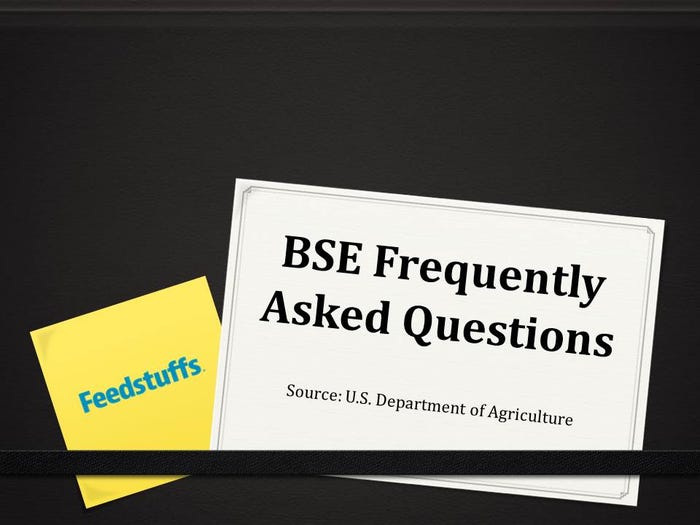 10 top BSE questions