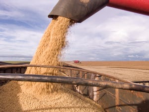Economist: USDA crop projections for 2019 stray from trend