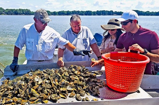 University of Maryland shellfish grant.jpg