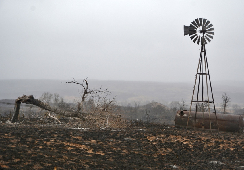 Ag damages from Texas wildfire estimated at $21m