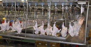 poultry-inspection-USDA-AliceWelsh.jpg