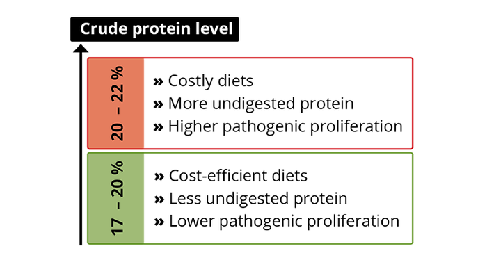 Figure-4.-The-dynamics-of-crude-protein-levels-in-piglet-feed.png