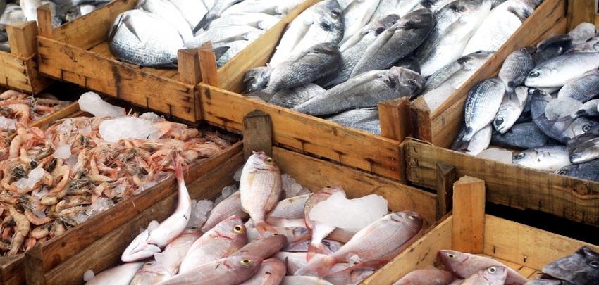 Sea-to-plate tracking keeps illegally caught fish out of global supply chains