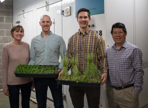 N&H TOPLINE: Plant scientists untangle plant stress, growth