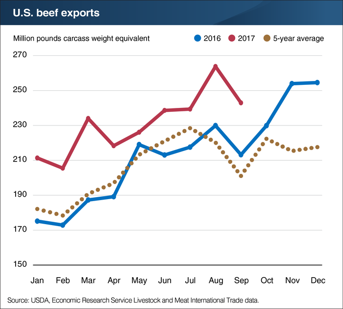 beef_20exports.png